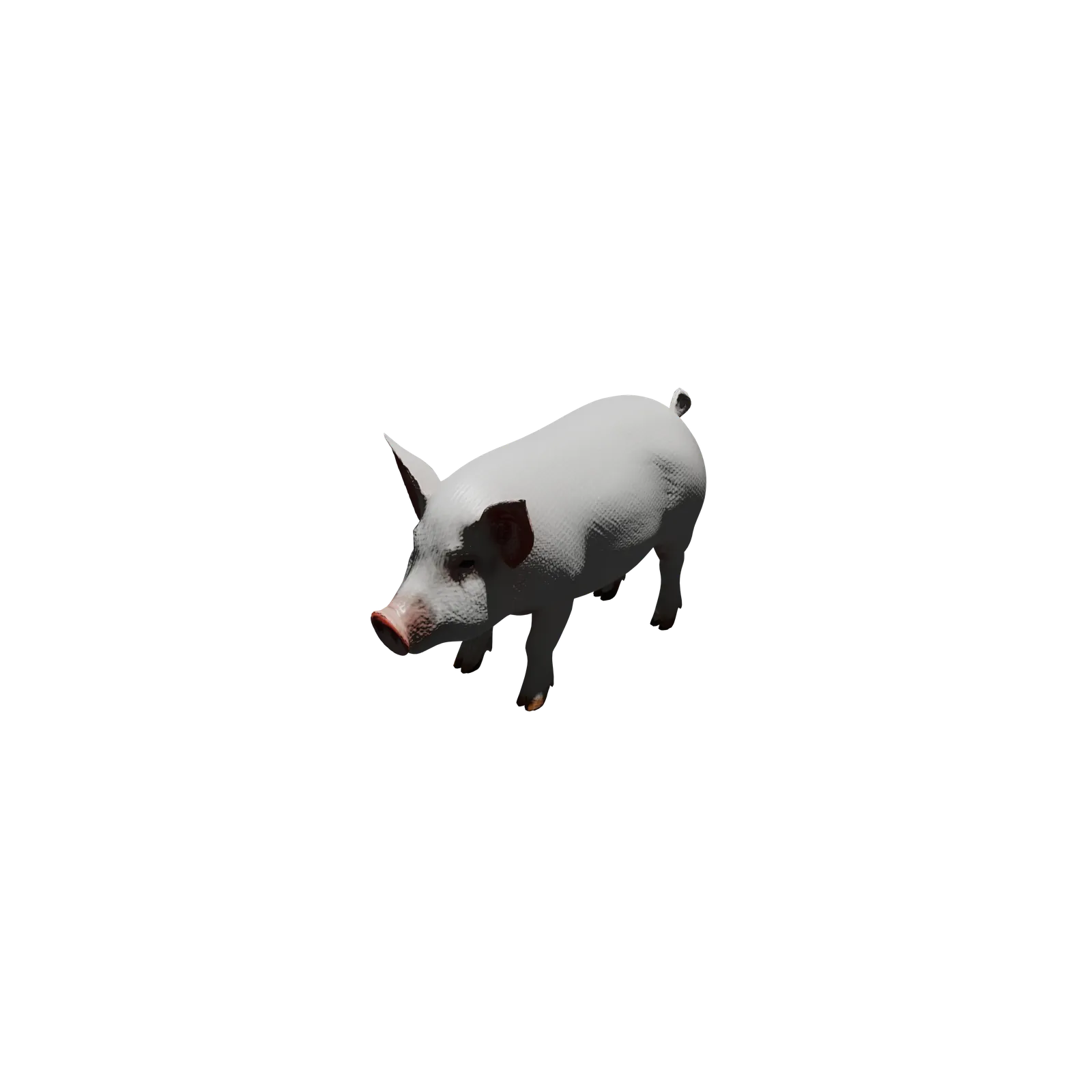 Cerdo